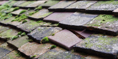 Pidley roof repair costs